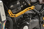 【アールズギア】アールズギア サブフレーム オレンジゴールド Z900RS （17-22／23- AC00-036K-OG