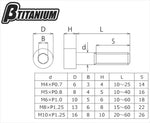 βTITANIUM(ベータチタニウム)｜ストレートキャップボルト M5×40 ｜BT-TISC-05040