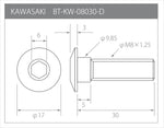 βTITANIUM(ベータチタニウム)｜ディスクローターボルト カワサキ汎用 ｜BT-KW-08030-D-BG