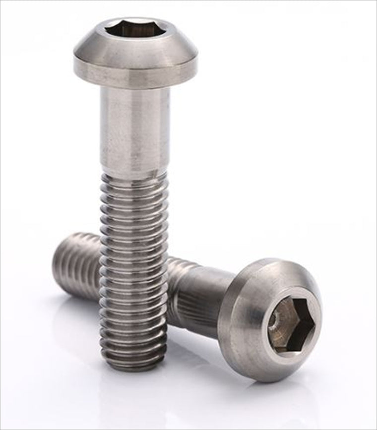 βTITANIUM(ベータチタニウム)｜ナベボルト 標準 M4×10 ｜BT-TIPC-04010-LG