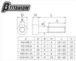 βTITANIUM(ベータチタニウム)｜ストレートキャップボルト M8×60 ｜BT-TISC-08060-DY