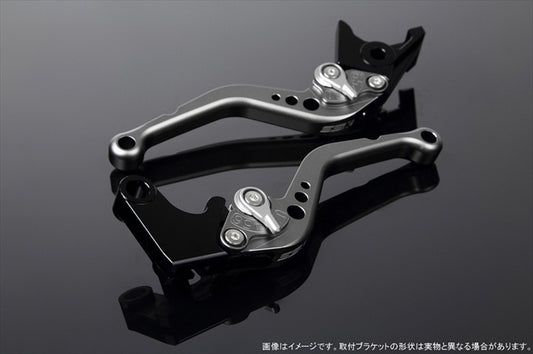【エスエスケイ スピードラ】アジャストレバー スタンダード ショート  Mチタン/Mシルバー NINJA1000 17-18/Z900RS LVCM028TM-SR