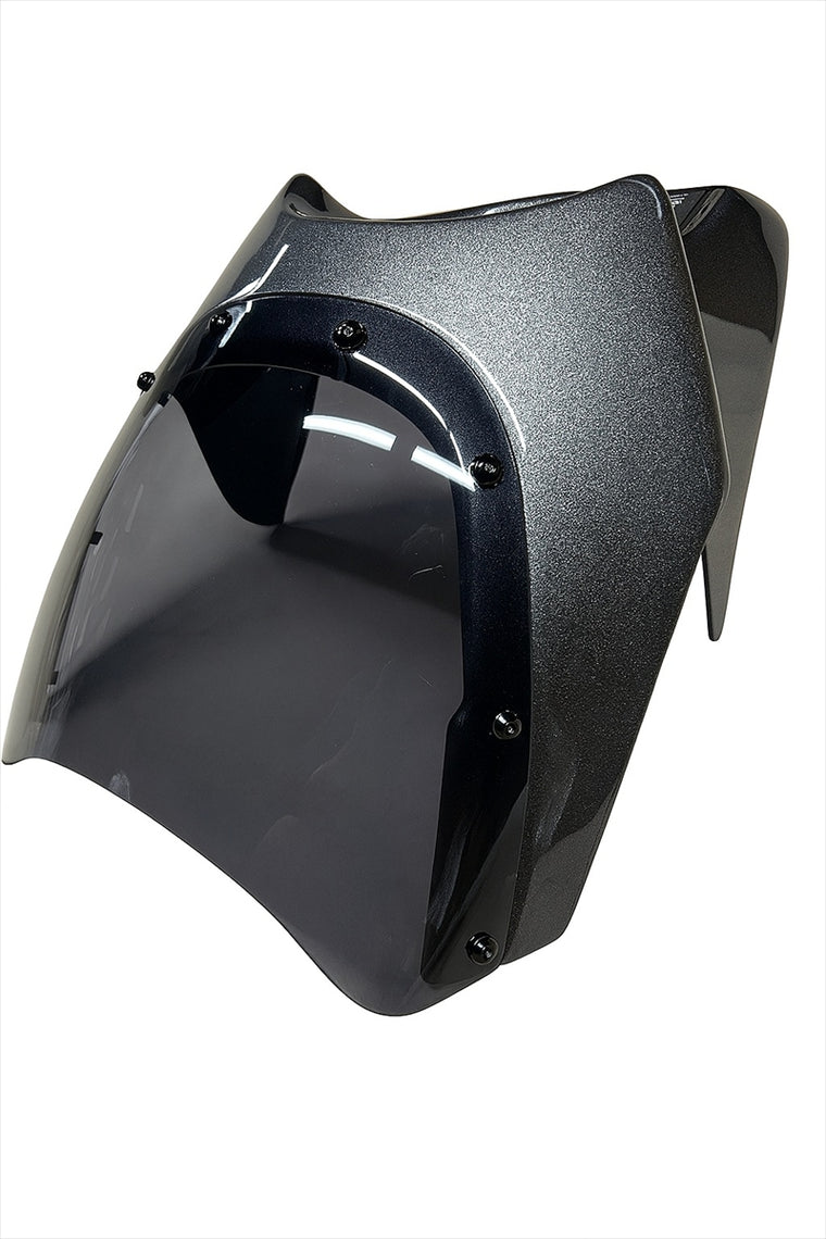 ｜Z650RS専用ビキニカウル　メタリックマットカーボングレー　ショートスモーク｜YR-B001-MMC-SS
