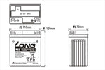 LONG(ロングバッテリー)｜バッテリー 12V/7Ah 液注入済｜WTZ8VIS