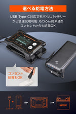 デイトナ｜ディスプレイバッテリーチャージャーUSB｜37802