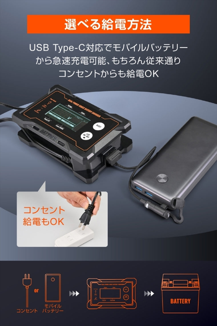 デイトナ｜ディスプレイバッテリーチャージャーUSB｜37802
