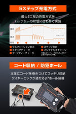 デイトナ｜ディスプレイバッテリーチャージャーUSB｜37802