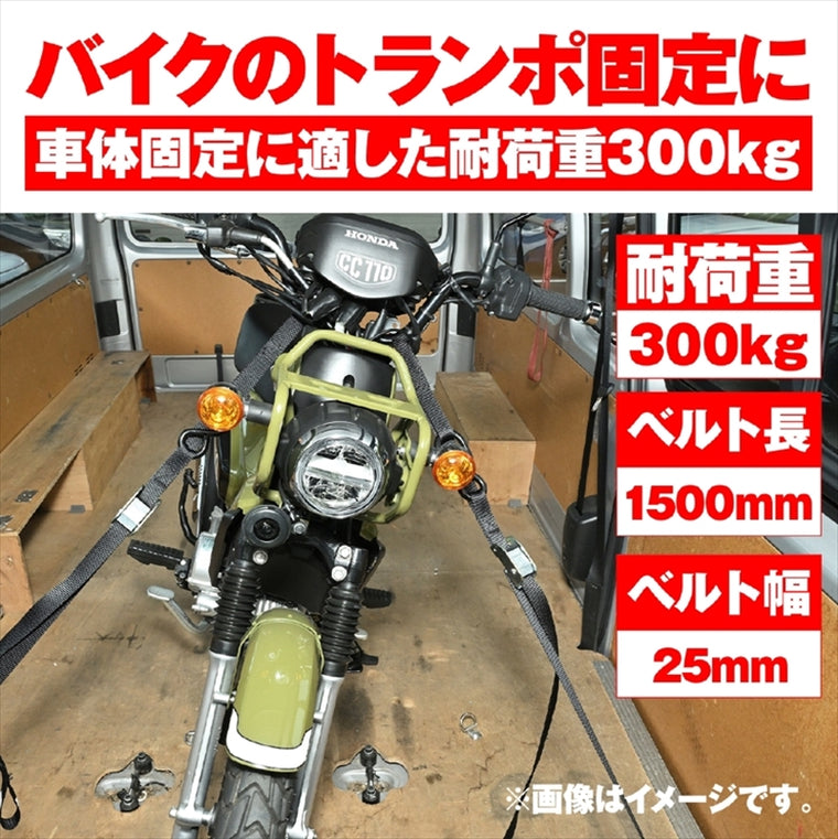 【デイトナ】タイダウンベルトカムバックル 1500 クロ 42023