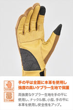 DAYTONA | DG010 スローバックメッシュG BR   L | 46113