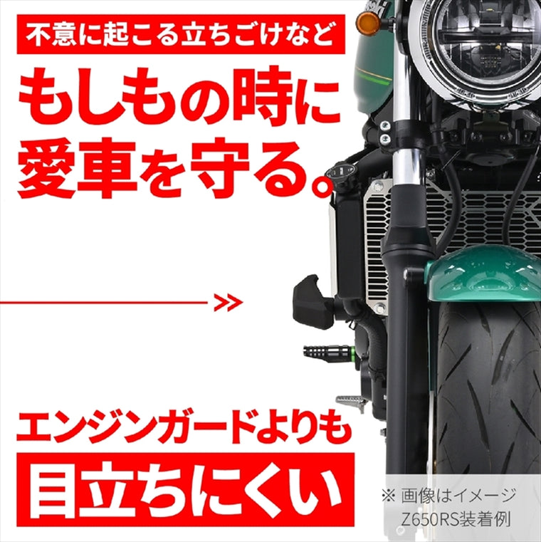 デイトナ｜エンジンプロテクター(ストリーム) エリミネータ｜97230