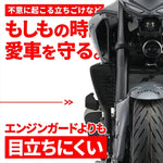 【デイトナ】エンジンプロテクター(ストリーム) MT-25 19928