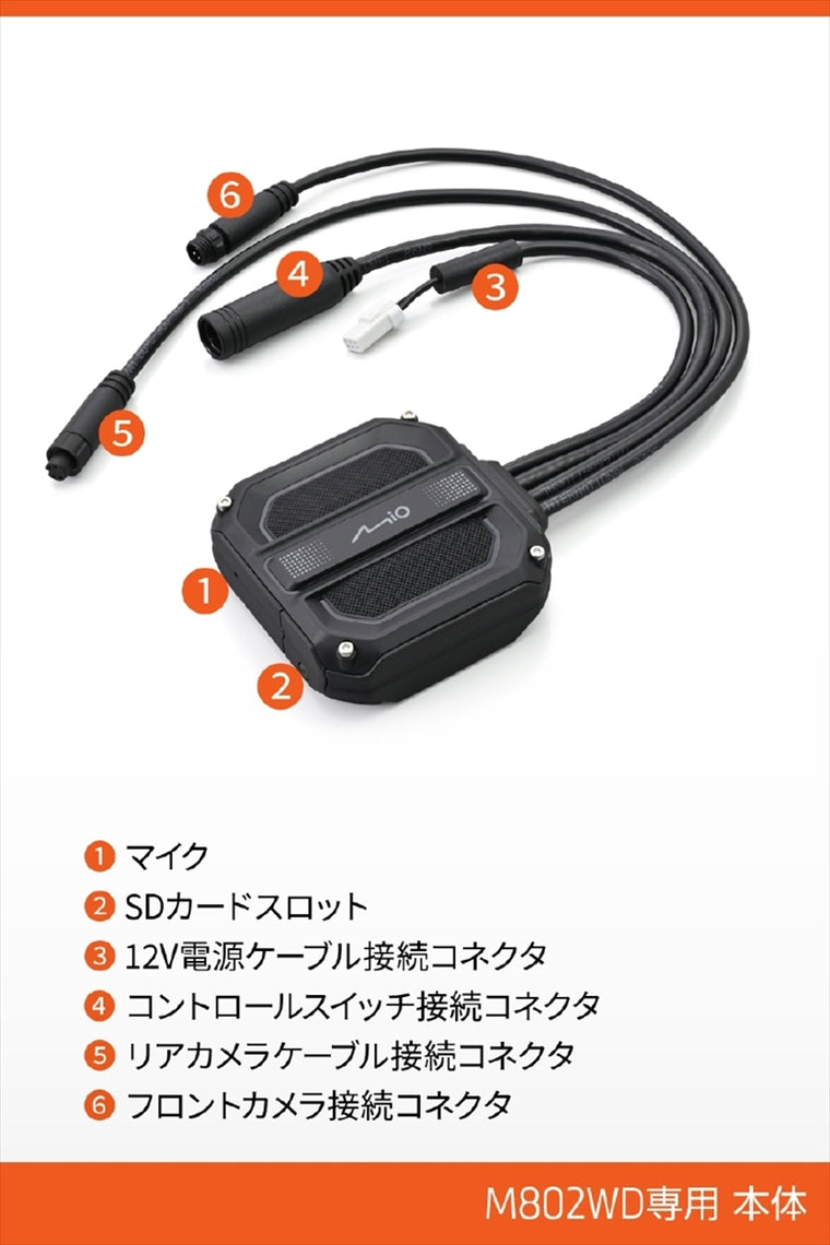 デイトナ｜M802WDヨウホシュウホンタイ｜47751