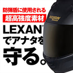 デイトナ｜N606SP GOLD ED 331/XL｜60046