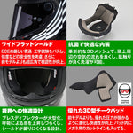 デイトナ｜X804RS ALA CARBON345/XL｜49828