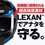 デイトナ｜N808 ALFIERE BL347/L｜49928