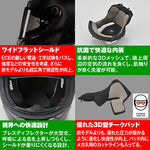 デイトナ｜X804RS PURO CARBON324/L｜49884