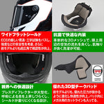デイトナ｜X804RS SPADEA WH343/L｜49836
