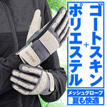 DAYTONA(デイトナ)｜HBG-065 カフェメッシュ IV/S｜63786