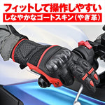 DAYTONA(デイトナ)｜HBG-053 スポーツメッシュ BKRD/XL｜63767
