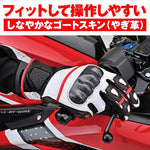 DAYTONA(デイトナ)｜HBG-053スポーツメッシュBKWHRD/S｜63780