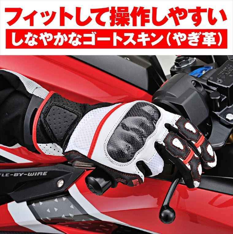 DAYTONA(デイトナ)｜HBG-053スポーツメッシュBKWHRD/S｜63780