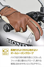 DAYTONA(デイトナ)｜DG-039ソトヌイスタンダードBRIV/L｜65812