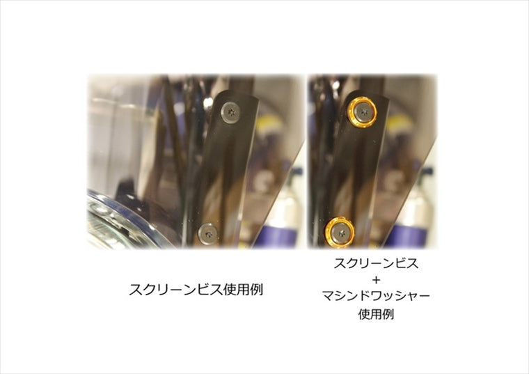 ポッシュフェイス｜トルクス スリムヘッドボルト M5X10 ブラック ステンレス 2pcs｜930510-K2