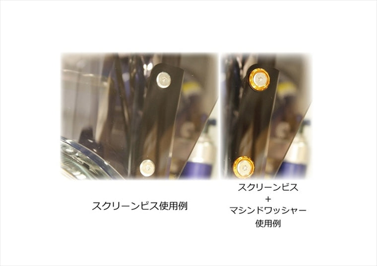 ポッシュフェイス｜トルクス スリムヘッドボルト M5X16 ステンレス 2pcs｜930516-S2