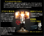 SOTO(ソト)｜プラチナランタン｜SOD-250