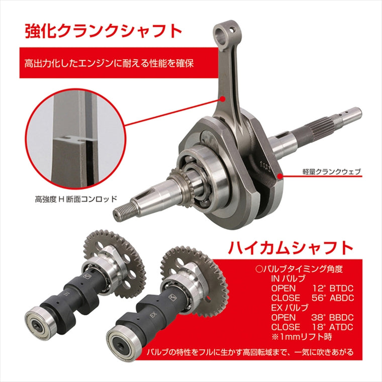 【キタコ】181ccDOHC ボアアップキット GROM(JC61/JC75) モンキー125 JB02 215-1432900