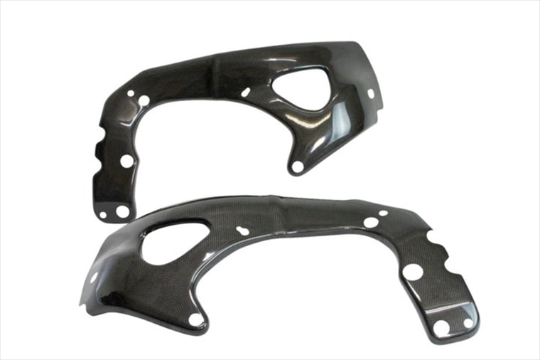 【ライテック】フレームプロテクター ドライカーボン     CBR1000RR-R SP 20-21 CARH2150