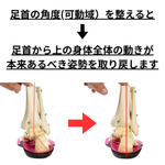 Kinefoot ライディングシューズ用インソール「SCOYCOオリジナル」（SCOYCOシューズを既にお持ちの方、または同時購入の割引価格です）「バイク用高機能インソール」