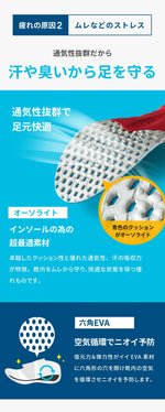 M.MOWBRAY SPORTS｜エナジーα｜00006448