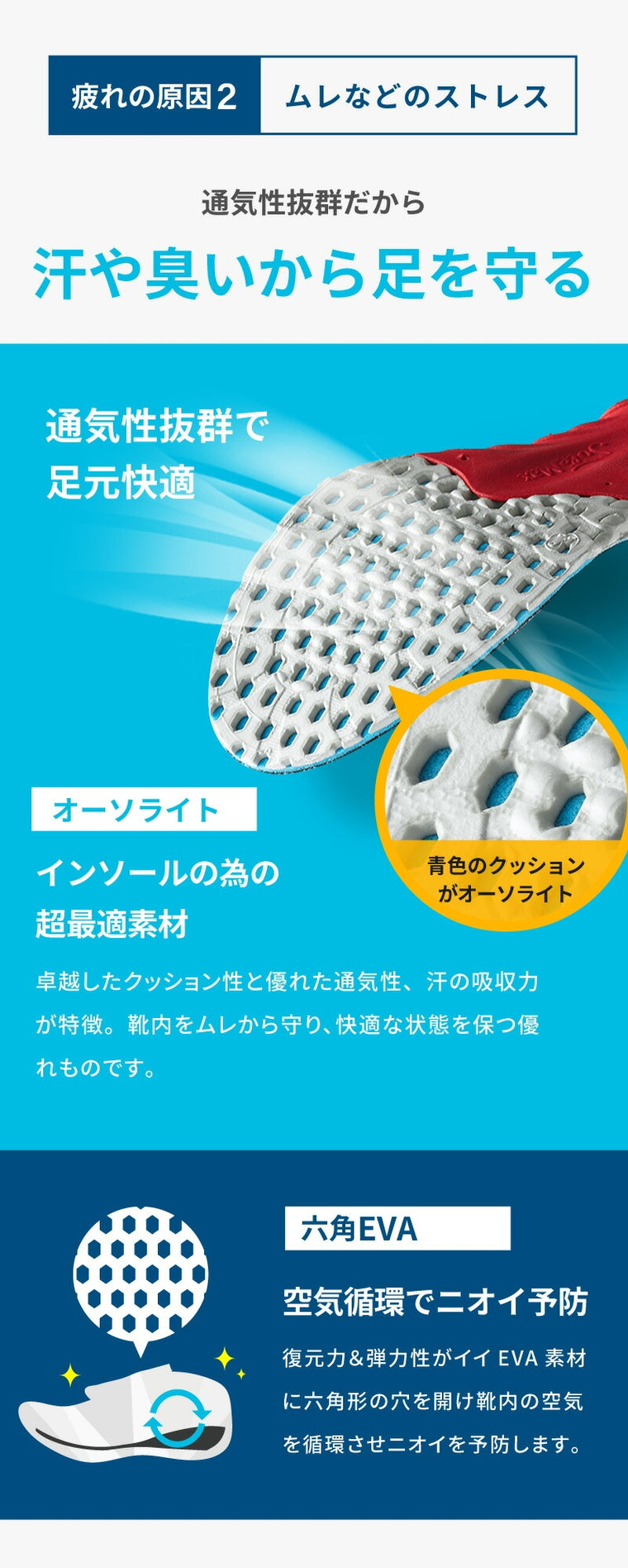 M.MOWBRAY SPORTS｜エナジーα｜00006448