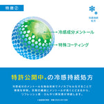 【FREEZETECH/氷撃】衣類用冷感ミスト 300ml【6525008】