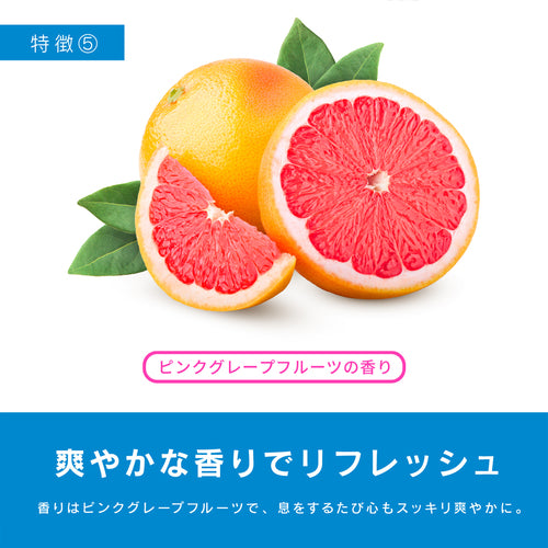 【FREEZETECH/氷撃】マスク用クールミスト【6526000】