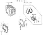 スペシャルパーツタケガワ｜SP武川 CYLINDER KIT V-TYPE／124cc 12Vモンキー（S.Head4-Valve＋R専用）｜01-04-8004
