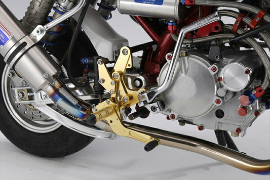 ステップ  オーヴァーレーシング OVER バックステップ 4POS GLD MONKEY(ディスク) 51-01-12G 4539770086977 取寄品