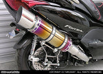 ウイルズウィン WirusWin ビーストマフラー タイプE 焼色 FORZA(MF08) カタログ品番：P010-8750 メーカー品番：222-10-10