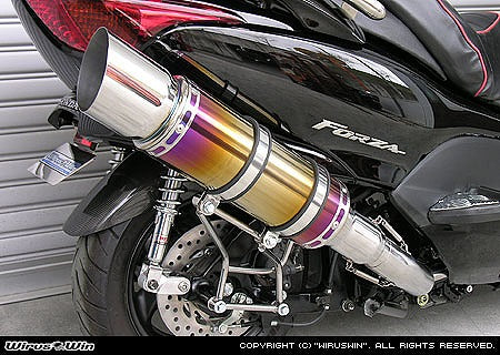 ウイルズウィン WirusWin ビーストマフラー タイプE 焼色 FORZA(MF08) カタログ品番：P010-8750 メーカー品番：222-10-10
