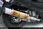ウイルズウィン WirusWin エクシードチタンマフラー SKYWAVE250(CJ44 45 46) カタログ品番：P013-5990 メーカー品番：312-09-10