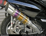 ウイルズウィン WirusWin ビーストショートマフラー タイプE 焼色 FORZA(MF06) カタログ品番：P014-1546 メーカー品番：212-16-10
