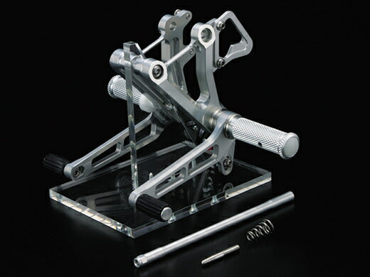 アエラ AELLA バックステップ ポリッシュ 900SS 91-97 カタログ品番：P014-1845 メーカー品番：AE-10002-PO