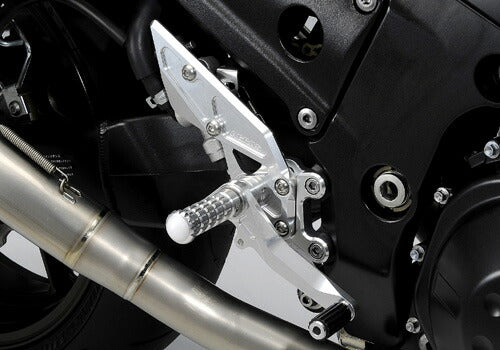 アグラス アグラス バックステップ 4ポジション ZZR1400 カタログ品番：P020-1916 メーカー品番：312-474-000