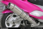 ウイルズウィン WirusWin ビーストマフラー タイプS POL MAJESTY125 カタログ品番：P020-2786 メーカー品番：142-11-11
