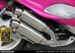 ウイルズウィン WirusWin アトミックツインマフラー スポーツ MAJESTY125 カタログ品番：P028-2030 メーカー品番：142-13-05