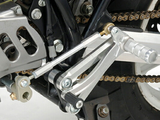 ツルノテクニカルサービス TTS レーシングステップキット APE50 カタログ品番：P030-1216 メーカー品番：07011141