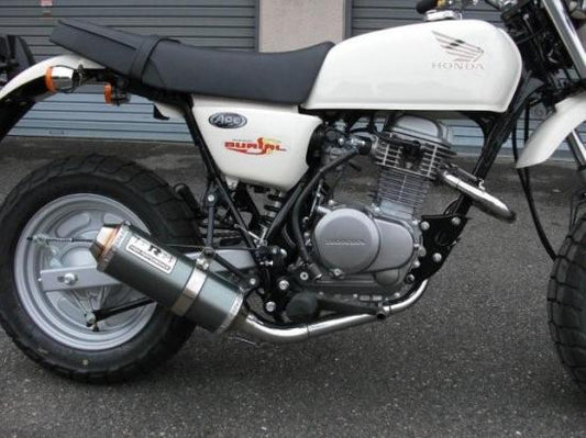 ベリアル ベリアル アルティメットマフラー GLD エイプ100 カタログ品番：P032-0875 メーカー品番：H14-17-05