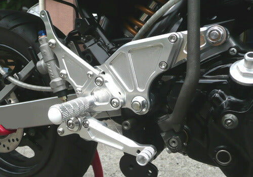 アグラス アグラス バックステップ 4ポジション KSR110 -05 カタログ品番：P034-2026 メーカー品番：312-476-000