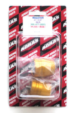 アグラス バーエンド／ゴールド Ninja250R